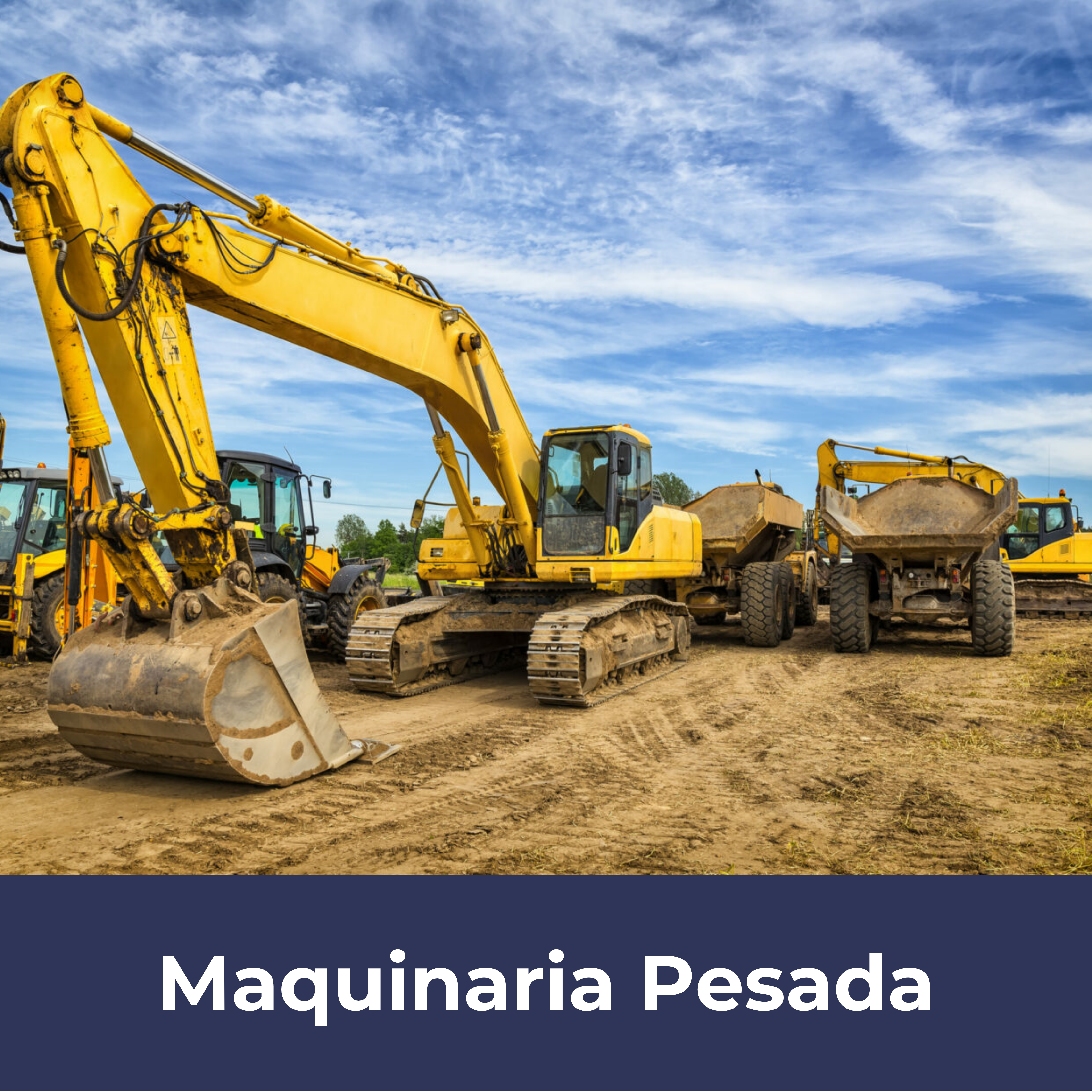 Imagen 13
